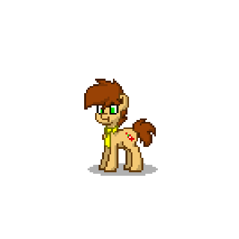 Pony Townie