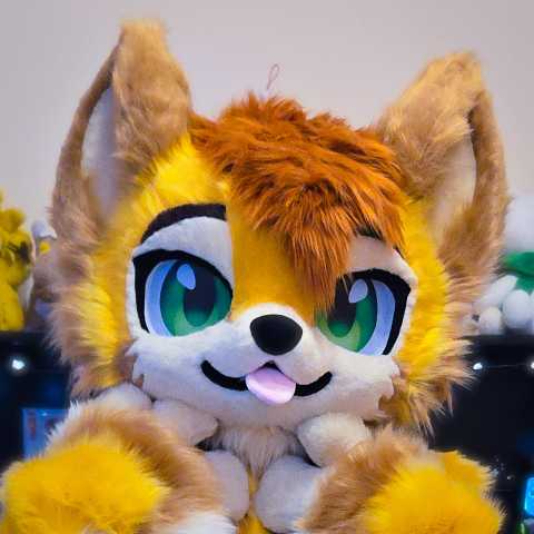 📁 Suit